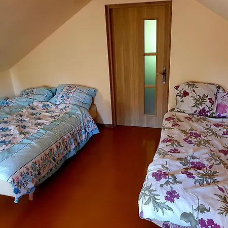 Antera Peaceful Escape Gorowychy Male